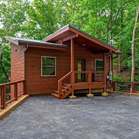 New Cozy Mountain Cabin Hot Tub Near Downtown Gatlinburg Eksteriør billede