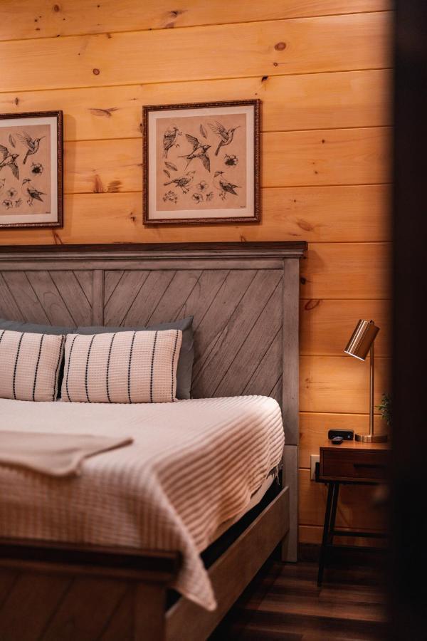 New Cozy Mountain Cabin Hot Tub Near Downtown Gatlinburg Eksteriør billede